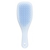 Juuksehari Tangle Teezer Mini, Lavender, 1 tk
