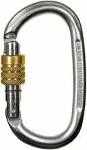 Karabiin Climbing Technology SG 3C4630AV51CTSTD, hõbe