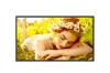 LG 32UL5Q-M