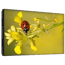 Philips 55BDL8007X