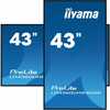 Iiyama LH4360UHS-B2AG