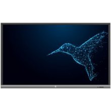 Avtek 5 Lite 55