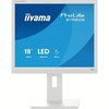 Iiyama ProLite B1980S-W1