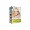 Juuksevärv Garnier Nutrisse Ultra Blonde 101 Platinum Ash Blonde