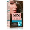 Püsiv juuksevärv Schwarzkopf Gliss Color 6-0 Natural Light Brown, 60 ml