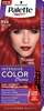 Kreemjas juuksevärv Schwarzkopf Palette Intensive Color Creme RV6 Scarlet Red