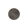 Juuksevärv Fanola Color 10.17 Blonde Platinum Ash Brown, 100 ml