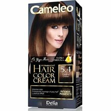 Püsiv juuksevärv Delia Cosmetics Cameleo HCC Omega+ 5.4 Chestnut