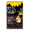 Püsijuuksevärv Garnier Olia 4.12 Irisdescent Dark Brown, ammoniaagivaba