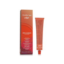 Püsivad juuksevärvid Inebrya Color 10.3 Light Platinum Blonde Golden, 100 ml