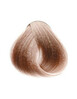 Püsiv juuksevärv Inebrya Color 8.13 Light Blonde Ash Golden, 100 ml