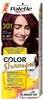 Juuksevärv Schwarzkopf Palette Color Shampoo 4-99 Bordoo, 60 ml