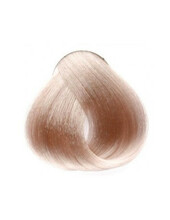Püsiv juuksevärv Inebrya Color 10.13 Platinum Blonde Ash Golden, 100 ml