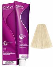Püsivärv Kadus Professional Permanent Color 12/1 Special Blond Ash, 60 ml