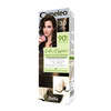 Juuksevärv Delia Cosmetics Cameleo Color Essence 3.0 Dark Brown, 75 g