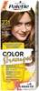 Tooniv šampoon Schwarzkopf Palette Color 231 Light Brown, 60 ml