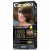 Püsiv juuksevärv Delia Cosmetics Cameleo Nr. 7.3 Hazelnut