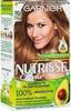 Juuksevärv Garnier Nutrisse 70 Dark Blonde, 160 ml