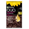 Püsiv juuksevärv Garnier Olia 5.15 Frozen Brown, 60 ml