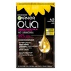 Püsiv juuksevärv Garnier Olia 4.0 Dark Brown