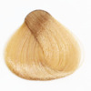 Professionaalsed juuksevärvid Fanola Color 9.3 Very Light Golden Blonde, 100 ml