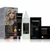 Püsiv juuksevärv Delia Cosmetics Cameleo Omega+ 9.1 Ultimate Ash Blonde