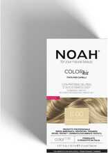 Püsivärv Noah Color Kit 11.00 Superplatinum Blond, 140 ml