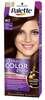 Püsiv juuksevärv Schwarzkopf Palette Intensive Color Creme W2 Dark Chocolate