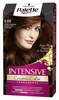 Püsivärv juustele Schwarzkopf Palette 5.68 Light Reddish Brown