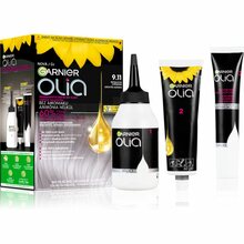 Püsiv juuksevärv Garnier Olia 9.11 Silver Smoke