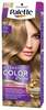 Püsiv juuksevärv Schwarzkopf Palette Intensive Color Creme 8-0 N7 Light Blonde