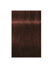 Professionaalne juuksevärv Schwarzkopf Professional Igora Royal Absolutes 5-80 Light Brown Red Natural, 60 ml