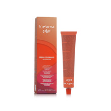 Püsiv juuksevärv Inebrya Color 9.0 Very Light Blonde, 100 ml