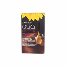 Juuksevärv Garnier Olia 5.3 Capuccino, 60 ml