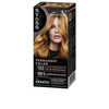 Püsiv juuksevärv Syoss Permanent Color 8.7 Rub Dorad Caramelo, 1 tk