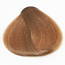 Professionaalne juuksevärv Fanola Color Cream 8.13 Light Blonde Beige, 100 ml