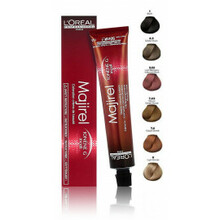 Juuksevärv L'Oreal Professionnel Majirel 4.20 Intense Irisee Brown, 50 ml