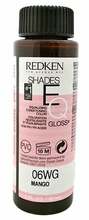 Juuksevärv Redken Shades EQ Gloss 06WG, 180 ml