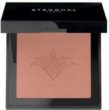 Põsepuna Stendhal Illuminating Blush, 302 Brun Petra, 5,5 g