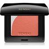 Põsepuna Sensai Blooming Blush, 04 Blooming Orange, 4 g