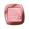Põsepuna Deborah Milano Dh Face Super Blush, N4