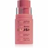 Põsepuna Makeup Revolution Fast Base Blush, 14 g