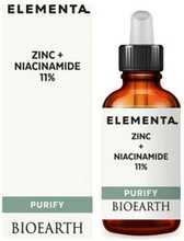 Bioearth Elementa Concentrated Purify tsink niatsiinamiidiga, 15 ml