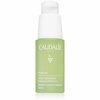 Caudalie Vinopure Blemish Control Salicylic seerum, 30 ml