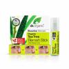 Dr. Organic Tea Tree Blemish Stick Roll On näogeel, 8 ml