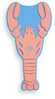 Vannipomm Makeup Revolution Friends Lobster Bath Fizz, 140 g