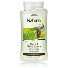 Vannisool Joanna Naturia Body Forest 500 ml
