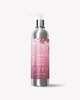 Šampoon We Are Paradoxx Repair Ginseng, 250 ml