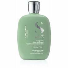 Šampoon Alfaparf Milano Semi Di Lino Energizing, 250 ml