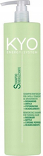 Šampoon Ronney Kyo Energy System, 1000 ml
